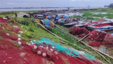শনিবার থেকে দুই মাস পদ্মা-মেঘনায় ইলিশ ধরা বন্ধ